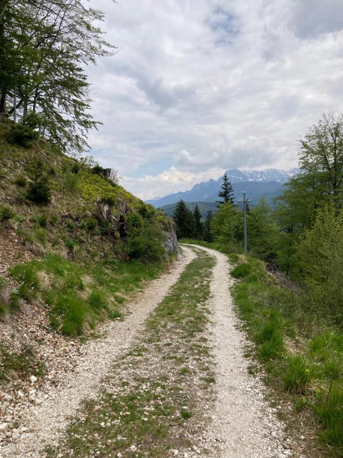 Adriatico Rooms Tarvisio Exterior photo